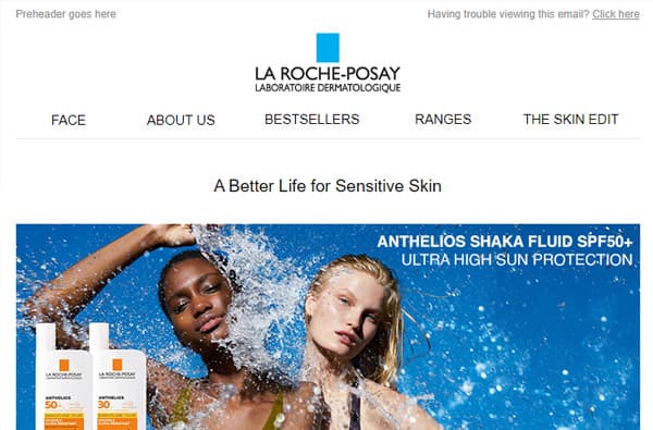 Fleximize - LaRoche Email Template